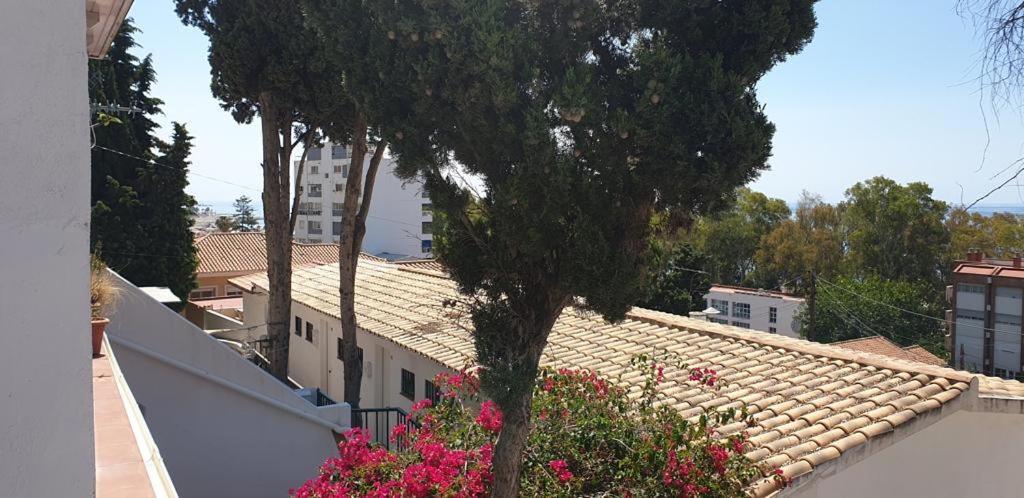 Estudio Banos Del Carmen Daire Málaga Dış mekan fotoğraf
